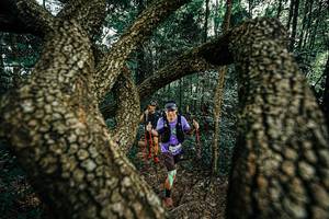 BIB: 
                            <button type="button" onclick="openModal(25392887)" class="btn btn-primary btn-sm float-right btn-popup" data-toggle="modal" data-target=".modal-high-quality">
                        <i class="fas fa-shopping-cart"></i> Add to Cart
                    </button>
                                            <button type="button" onclick="isThisMe(25392887, true)" class="btn btn-success btn-sm float-right btn-popup btn-isme hidden" data-toggle="tooltip" data-placement="bottom" title="นี่คือรูปของคุณใช่ไหม คลิกที่นี่เพื่อเอาเข้าอัลบั้ม">
                        <i class="fas fa-plus"></i> Add to album
                    </button>
                    <button type="button" onclick="isThisMe(25392887, false)" class="btn btn-warning btn-sm float-right btn-popup btn-isnotme hidden">
                        <i class="fas fa-ban"></i> Remove from album
                    </button>